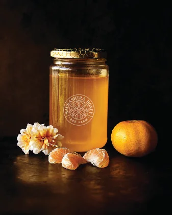 Implementation Image