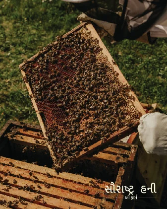 Implementation Image